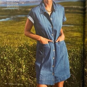 Cabi 6580 Piece of Cake Dress Soft Denim Size medium